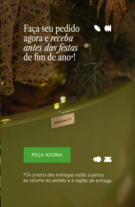 Receba antes das Festas